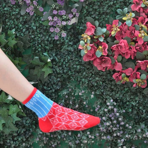 HK Style Red Blue Gate Socks