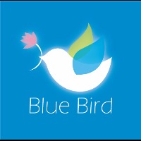 Blue Bird 手作羊毛氈